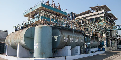 Benzyl Derivatives Plant